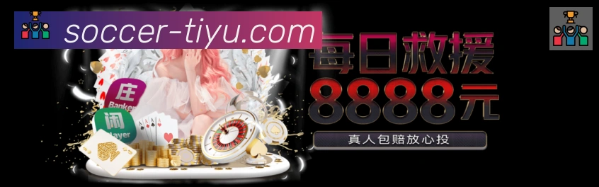 未来规划